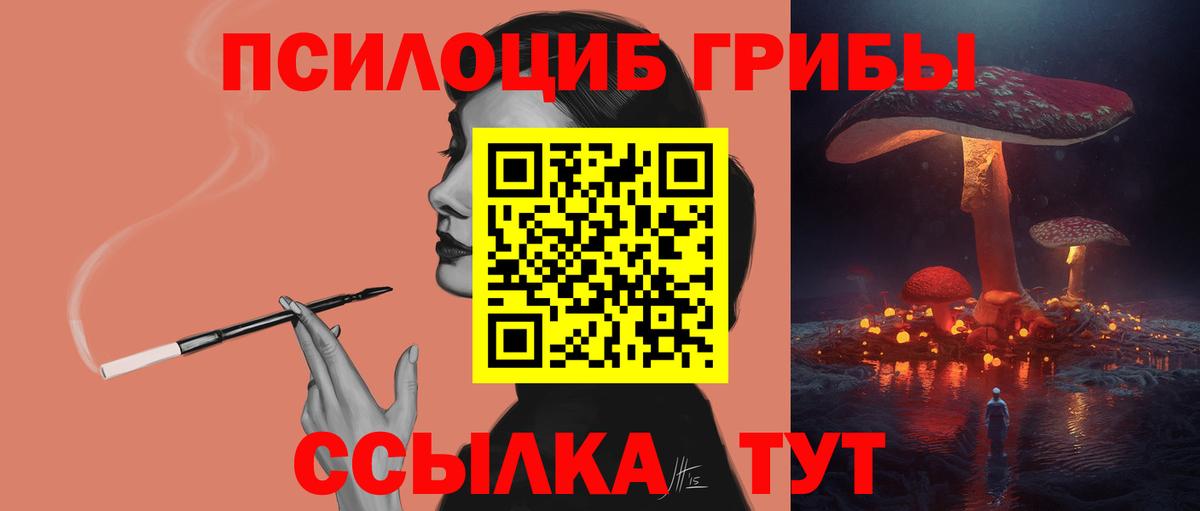 Зеленогорск  Галлюциногенные грибы мухоморы  Вход с VPN 